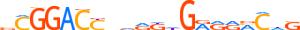 HINFP.H14INVIVO.0.P.B motif logo (HINFP gene, HINFP_HUMAN protein)