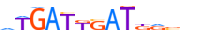 HXB7.H14INVIVO.0.P.C motif logo (HOXB7 gene, HXB7_HUMAN protein)