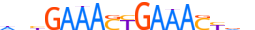 IRF8.H14INVIVO.1.SM.B motif logo (IRF8 gene, IRF8_HUMAN protein)