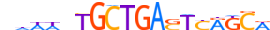 MAFG.H14INVIVO.0.PSM.A motif logo (MAFG gene, MAFG_HUMAN protein)