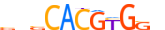 MAX.H14INVIVO.0.PS.A motif logo (MAX gene, MAX_HUMAN protein)