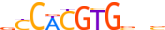 MYCN.H14INVIVO.0.PS.A motif logo (MYCN gene, MYCN_HUMAN protein)