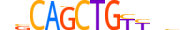 MYF5.H14INVIVO.0.P.B motif logo (MYF5 gene, MYF5_HUMAN protein)