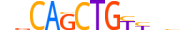 MYOG.H14INVIVO.0.PSM.A motif logo (MYOG gene, MYOG_HUMAN protein)