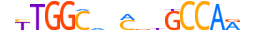 NFIB.H14INVIVO.0.PSM.A motif logo (NFIB gene, NFIB_HUMAN protein)