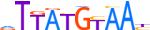 NFIL3.H14INVIVO.0.P.B motif logo (NFIL3 gene, NFIL3_HUMAN protein)