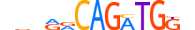 NGN2.H14INVIVO.0.P.B motif logo (NEUROG2 gene, NGN2_HUMAN protein)