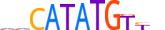NGN2.H14INVIVO.1.SM.B motif logo (NEUROG2 gene, NGN2_HUMAN protein)