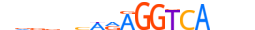 NR2F6.H14INVIVO.0.P.C motif logo (NR2F6 gene, NR2F6_HUMAN protein)