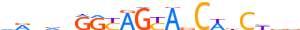 PRDM9.H14INVIVO.0.P.B motif logo (PRDM9 gene, PRDM9_HUMAN protein)