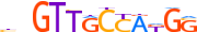 RFX1.H14INVIVO.0.PM.A motif logo (RFX1 gene, RFX1_HUMAN protein)