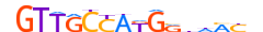 RFX4.H14INVIVO.0.SM.D motif logo (RFX4 gene, RFX4_HUMAN protein)