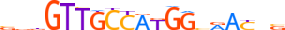 RFX5.H14INVIVO.0.PSG.A motif logo (RFX5 gene, RFX5_HUMAN protein)