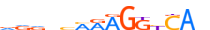 RXRB.H14INVIVO.0.P.C motif logo (RXRB gene, RXRB_HUMAN protein)