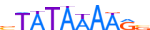 TBP.H14INVIVO.0.P.B motif logo (TBP gene, TBP_HUMAN protein)