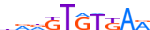TBR1.H14INVIVO.0.PS.A motif logo (TBR1 gene, TBR1_HUMAN protein)