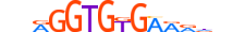 TBX1.H14INVIVO.0.S.D motif logo (TBX1 gene, TBX1_HUMAN protein)