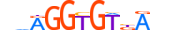 TBX15.H14INVIVO.0.SM.D motif logo (TBX15 gene, TBX15_HUMAN protein)