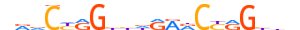 TF2L1.H14INVIVO.0.PSM.A motif logo (TFCP2L1 gene, TF2L1_HUMAN protein)