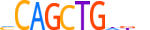 TFAP4.H14INVIVO.0.PSM.A motif logo (TFAP4 gene, TFAP4_HUMAN protein)
