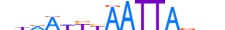 UNC4.H14INVIVO.0.S.D motif logo (UNCX gene, UNC4_HUMAN protein)