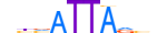 VENTX.H14INVIVO.0.SM.D motif logo (VENTX gene, VENTX_HUMAN protein)