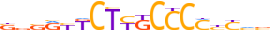 ZN534.H14INVIVO.0.P.C motif logo (ZNF534 gene, ZN534_HUMAN protein)