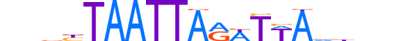 ALX3.H14RSNP.1.S.B motif logo (ALX3 gene, ALX3_HUMAN protein)