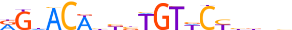 ANDR.H14RSNP.0.P.B motif logo (AR gene, ANDR_HUMAN protein)