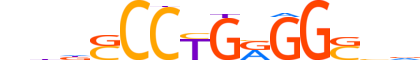 AP2A.H14RSNP.0.PSM.A motif logo (TFAP2A gene, AP2A_HUMAN protein)