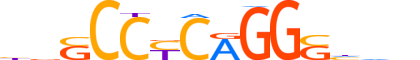 AP2A.H14RSNP.0.PSM.A reverse-complement motif logo (TFAP2A gene, AP2A_HUMAN protein)