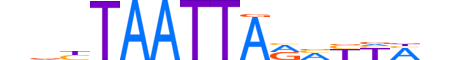 ARGFX.H14RSNP.0.SM.D motif logo (ARGFX gene, ARGFX_HUMAN protein)