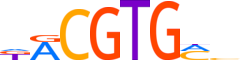 ARNT.H14RSNP.0.P.B motif logo (ARNT gene, ARNT_HUMAN protein)