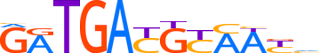 ATF3.H14RSNP.2.P.B motif logo (ATF3 gene, ATF3_HUMAN protein)