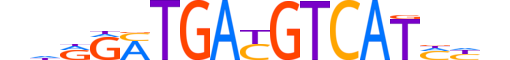 ATF4.H14RSNP.2.SM.B motif logo (ATF4 gene, ATF4_HUMAN protein)