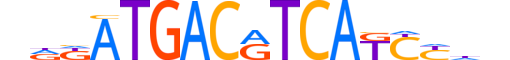 ATF4.H14RSNP.2.SM.B reverse-complement motif logo (ATF4 gene, ATF4_HUMAN protein)