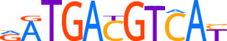 ATF7.H14RSNP.0.PSM.D motif logo (ATF7 gene, ATF7_HUMAN protein)