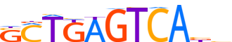 BACH2.H14RSNP.0.P.B motif logo (BACH2 gene, BACH2_HUMAN protein)