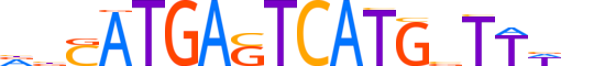 BACH2.H14RSNP.1.SM.B motif logo (BACH2 gene, BACH2_HUMAN protein)