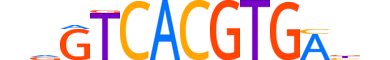BHE40.H14RSNP.0.PSM.A motif logo (BHLHE40 gene, BHE40_HUMAN protein)
