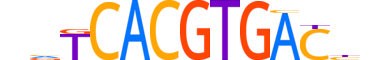 BHE40.H14RSNP.0.PSM.A reverse-complement motif logo (BHLHE40 gene, BHE40_HUMAN protein)
