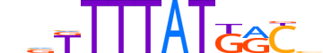 CDX4.H14RSNP.0.S.C motif logo (CDX4 gene, CDX4_HUMAN protein)