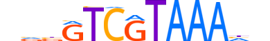 CDX4.H14RSNP.1.M.C reverse-complement motif logo (CDX4 gene, CDX4_HUMAN protein)