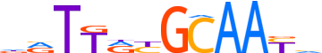 CEBPA.H14RSNP.0.P.B motif logo (CEBPA gene, CEBPA_HUMAN protein)