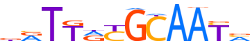CEBPB.H14RSNP.0.P.B motif logo (CEBPB gene, CEBPB_HUMAN protein)
