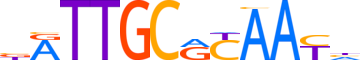 CEBPG.H14RSNP.0.P.B motif logo (CEBPG gene, CEBPG_HUMAN protein)