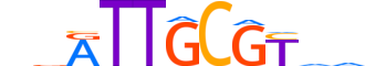 CEBPG.H14RSNP.1.SM.B motif logo (CEBPG gene, CEBPG_HUMAN protein)
