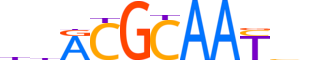 CEBPG.H14RSNP.1.SM.B reverse-complement motif logo (CEBPG gene, CEBPG_HUMAN protein)
