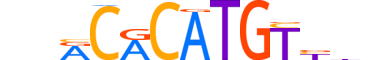 CLOCK.H14RSNP.0.M.C motif logo (CLOCK gene, CLOCK_HUMAN protein)