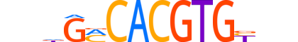 CLOCK.H14RSNP.1.PS.A reverse-complement motif logo (CLOCK gene, CLOCK_HUMAN protein)